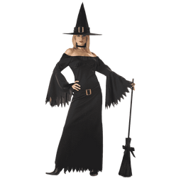 California Costumes Women's Elegant Witch Costume