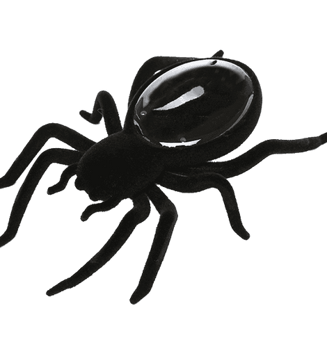 Creative Motion Solar Spider